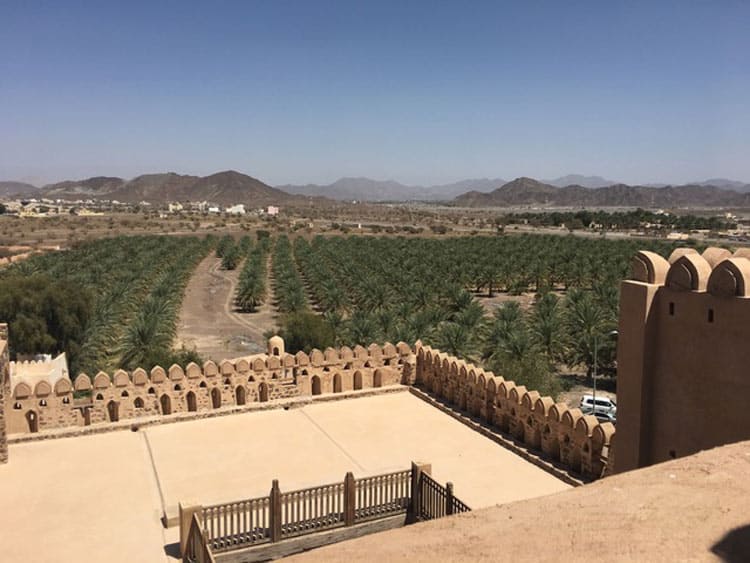 Date orchards surround the city of Nizwa in Oman, southeastern Arabia. Photo by Sue Sanders.