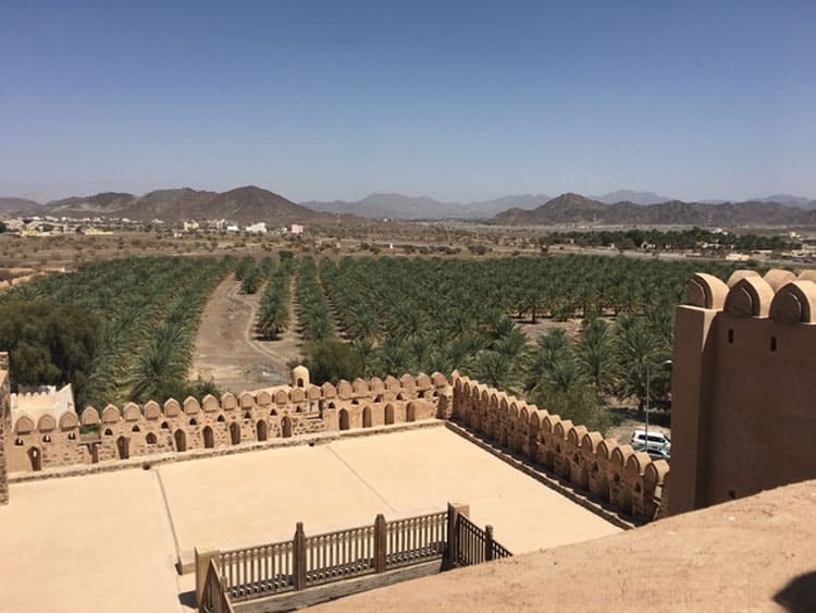 Date orchards surround the city of Nizwa in Oman, southeastern Arabia. Photo by Sue Sanders. 