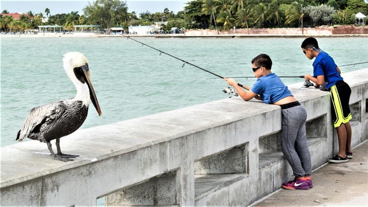 Two boys fishing from a bridge in the Florida Keys. Photo by Tasfoto/Dreamstime.com