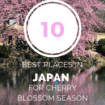 Cherry Blossoms in Japan: Do you love cherry blossoms in spring? Take a trip to these ten places in Japan for the best cherry blossom viewing.