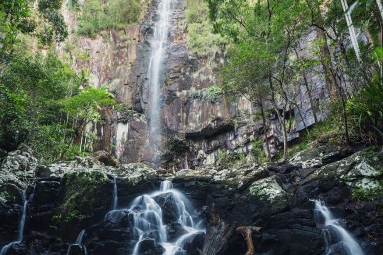 Protestor Falls in Nightcap National Park