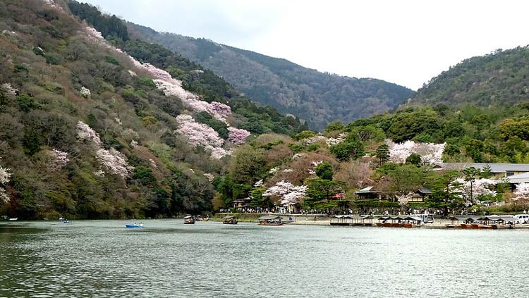 Arashiyama in Japan. CC Image by Balazs Szanto