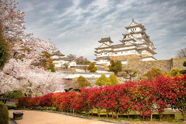 Cherry Blossoms in spring at Himeji Castle in Hyogo. CC Image by Paulo Philippidis