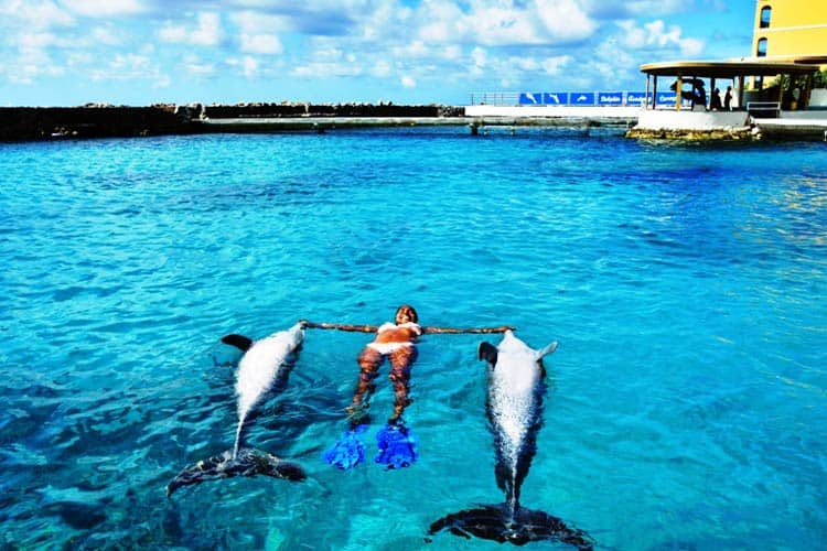 Free swim with dolphins is one of many delightful experiences at the Dolphin Academy in Curacao. Photo courtesy of the Dolphin Academy