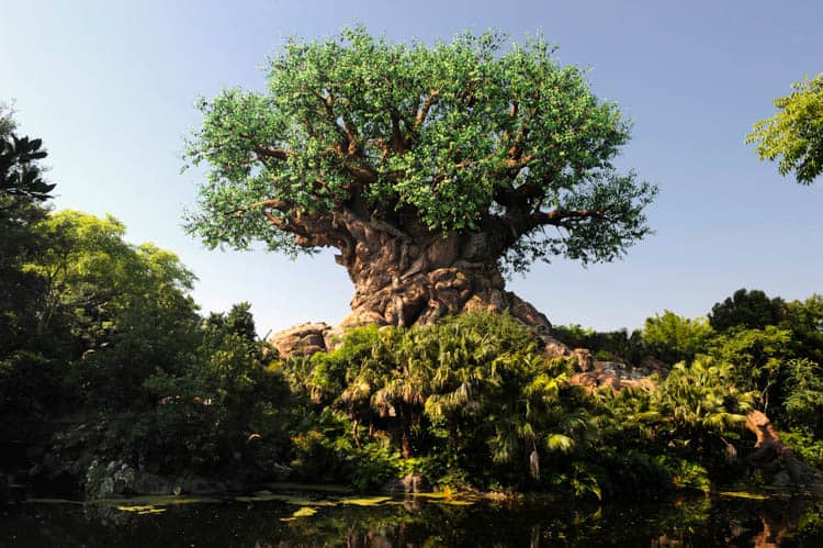 The Tree of Life in Disney's Animal Kingdom houses a 3-D theater where you can watch movies.