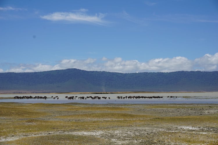 Ngorongoro Crater in Tanzania. Photo by Michael Storey