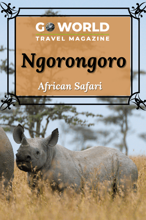 Ngorongoro, Tanzania: Are you looking for a thrilling African safari in Ngorongoro? Take the trip of a lifetime to Ngorongoro to see lions, wildebeest, zebra, hippos and the most elusive of all, the black rhino.