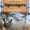 Ngorongoro, Tanzania: Are you ready for an African Safari? Visit Ngorongoro where you can see Africa's most beautiful wildlife including the most elusive beast, the black rhino.