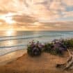 Cardiff State Beach in Southern California. CC Image by Chad McDonald