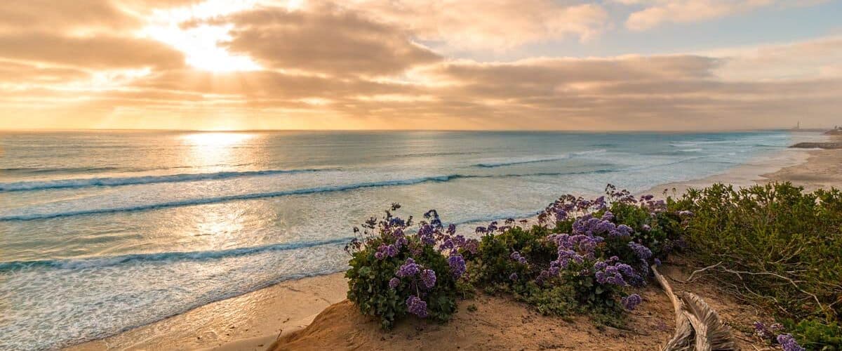 Cardiff State Beach in Southern California. CC Image by Chad McDonald