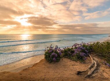 Cardiff State Beach in Southern California. CC Image by Chad McDonald