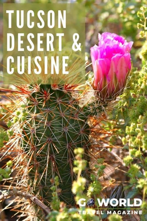 Explore the Tucson desert & inspired cuisine. This Arizona city has benign 'monsters,' gourmet hot dogs and surprisingly lush desert. #TucsonDesert #SonoraDesert #Tucsoncuisine