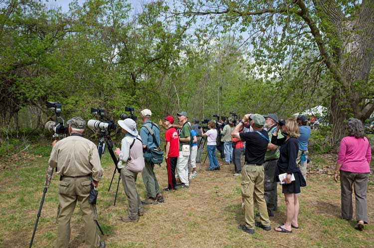 Birders use binoculars to spot high flyers along the Great Florida Birding Trail near Panama City. Photo by Limckinne/Dreamstime.com