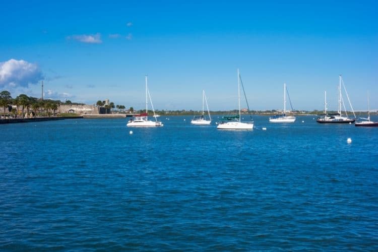 Harbor with sailboats