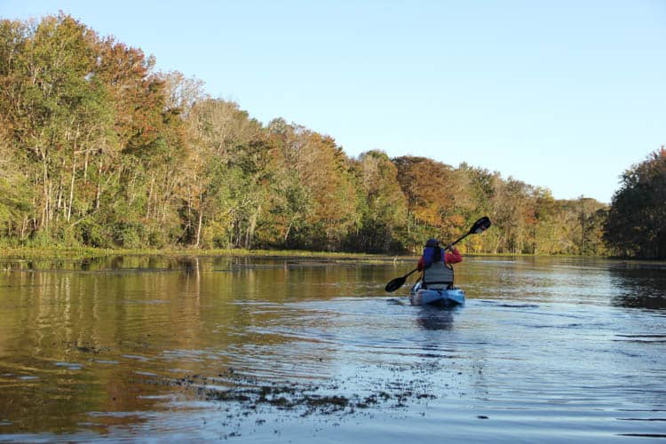 Kayaking in Tallahassee