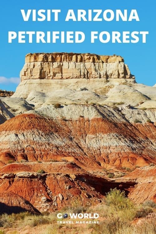 The Arizona Petrified Forest and Painted Desert are a must-see additions to a USA road trip or anytime you're in the state of Arizona. #Arizona #PetrifiedForestNational Park #PaintedDesert
