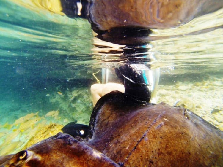 Awaiting a visit from a stingray at Aquarium Encounters in Marathon, Florida. Photo by Victor Block