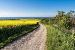 Hiking the Baltic Trails Through Forest & Along Coastline