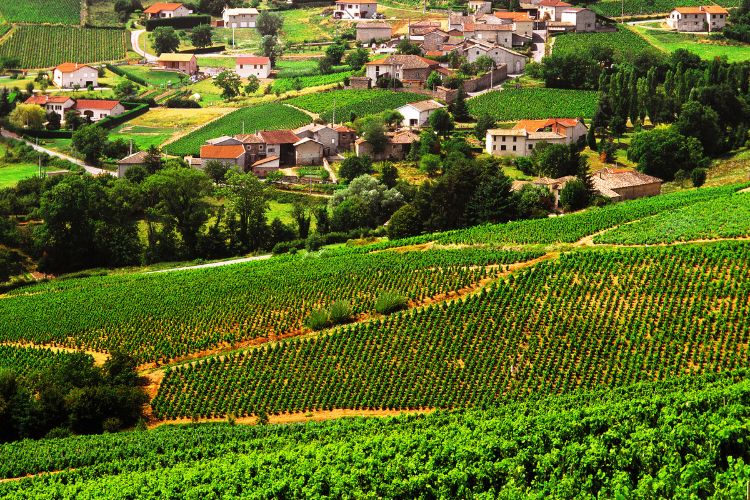 France Boujolais region