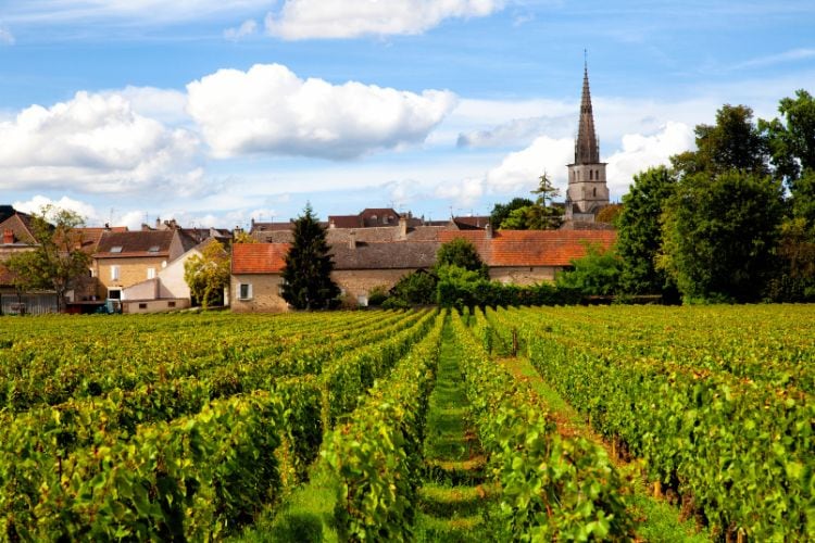 France Burgandy region