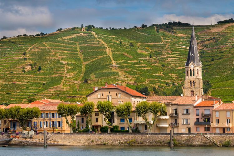 Hills of Cote du Rhone