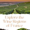 France's Wine Regions