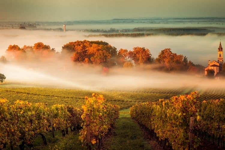 Bordeaux Wine Region in France