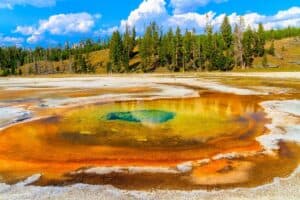 Road Trip to Yellowstone: A Traveler’s Post-Pandemic Journey