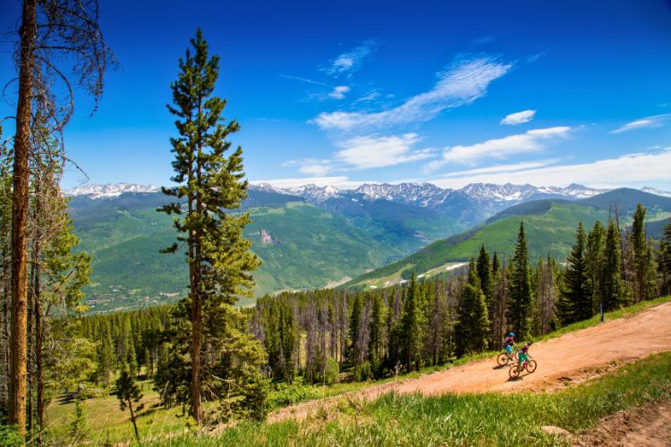 Afternoon Bike Ride in Vail