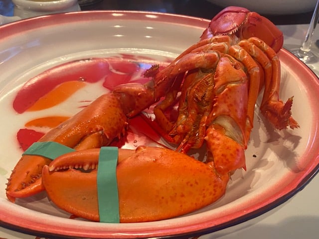 Steamed lobster Maine Catch