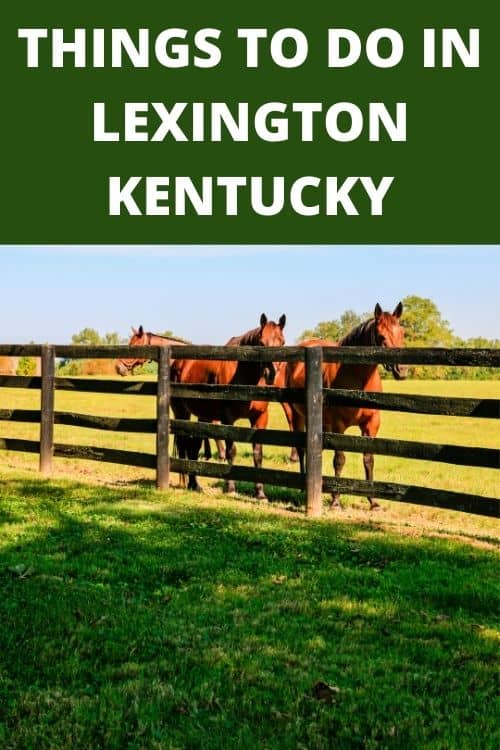 Discover all the great things to do in Lexington, Kentucky including whiskey tasting, horse racing, historic sights and down home cooking. #KentuckyUSA #LexingtonKentucky #KentuckyBourbon