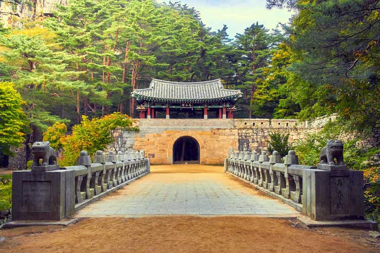 Visit South Korea