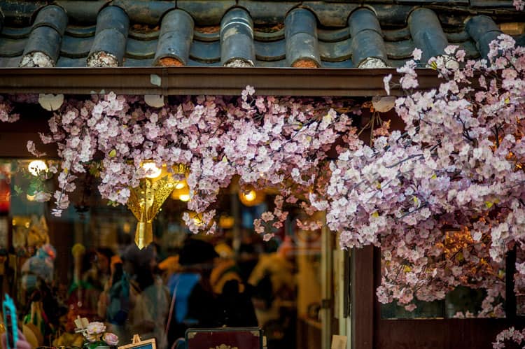 Blossoms and shops in South Korea