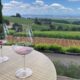 White Rose Estate Winery and Vineyard in Oregon's Willamette Valley. Photo by Janna