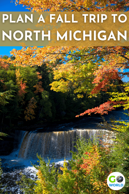 From Hemingway and pumpkin farms  to tunnels of trees and hoppy IPAs, there's plenty to discover on a fall trip to North Michigan.