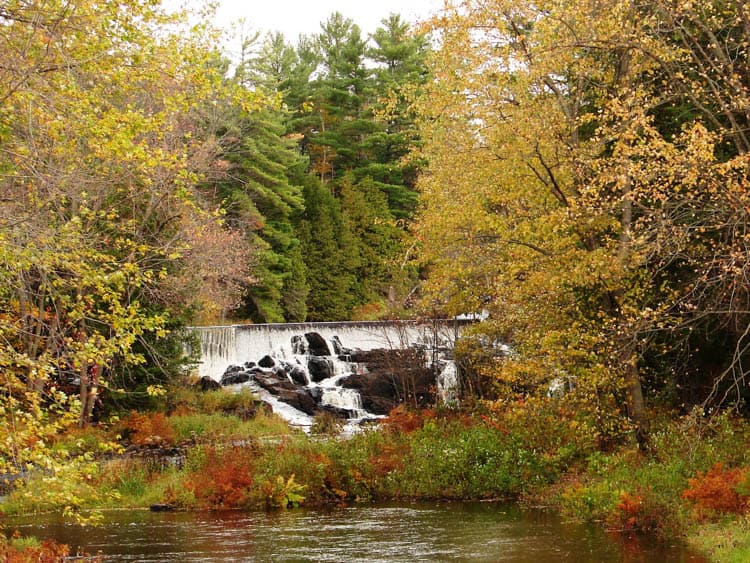 Fall Colours in Ontario 