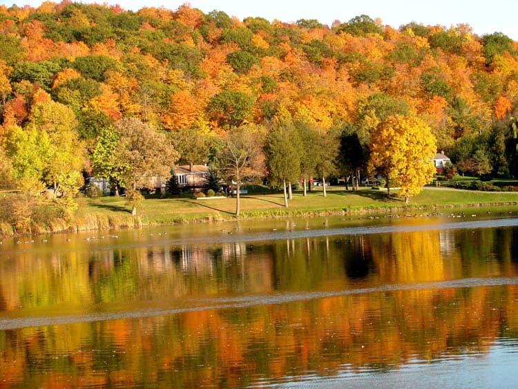 Fall colours reflected in lake near Frankford Ontario