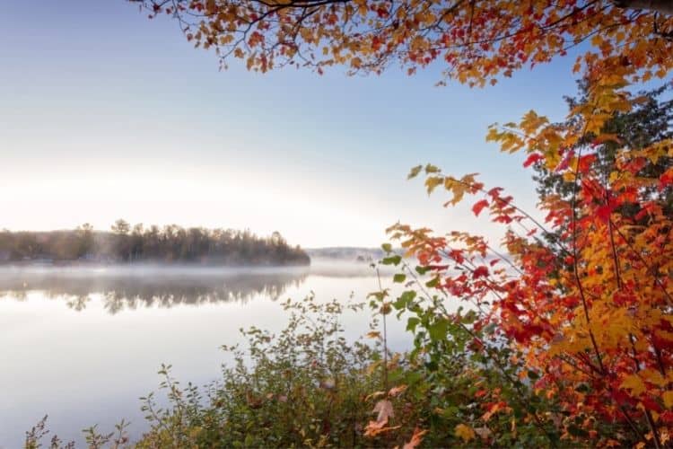 Fall colours in Ontario Presqu’ile Provincial Park 