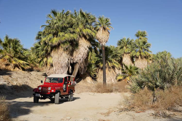 Palm Springs Red Jeep Tours