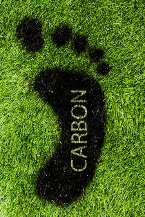 carbon footprint on green grass