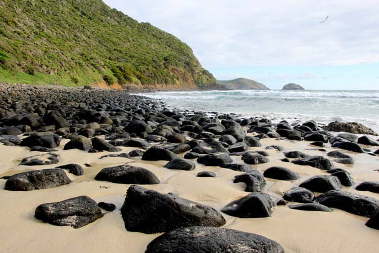 Lord Howe Island The rockier side of Ned's Beach