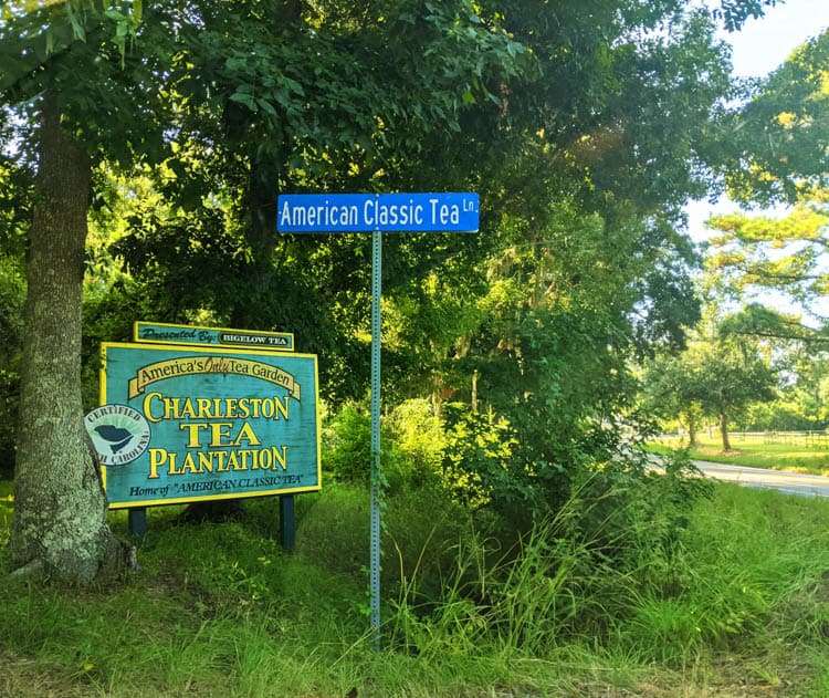 South Carolina Plantations. American Classic Tea Lane