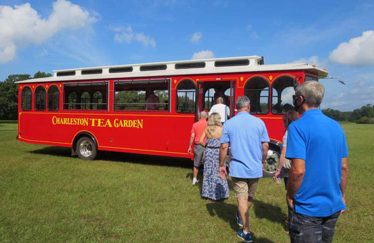 Charleston Tea Plantation tour