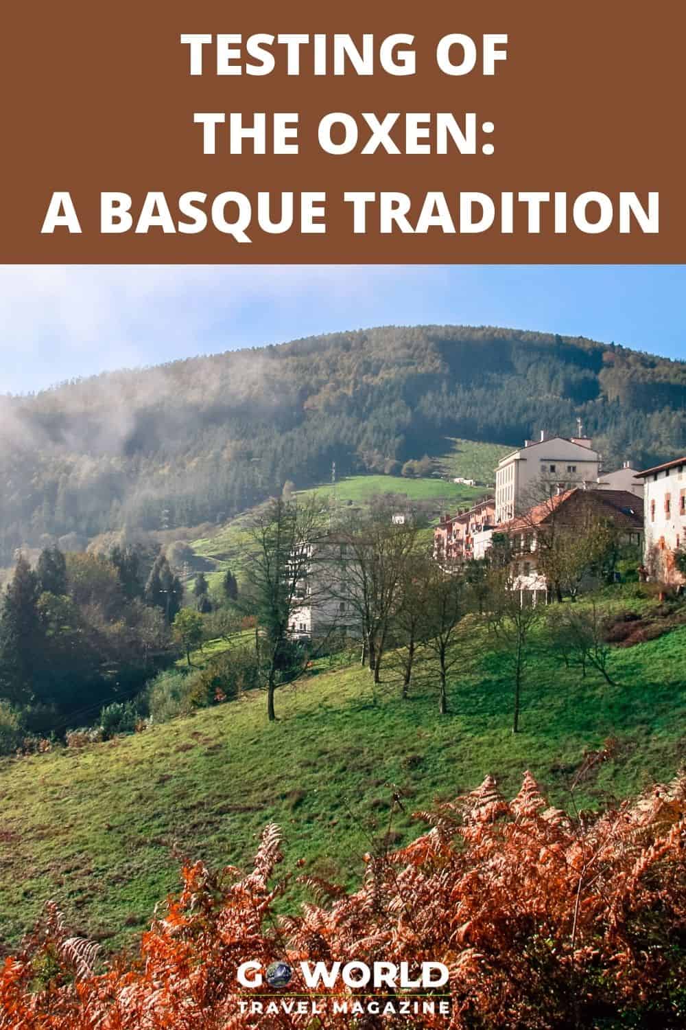 The Basque tradition Testing of the Oxen is not as famous as the Running With the Bulls which makes it a more authentic experience in Spain. #runningofthebulls #basquecountry #spain