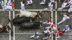 Experience Testing of the Oxen Instead of Running With the Bulls