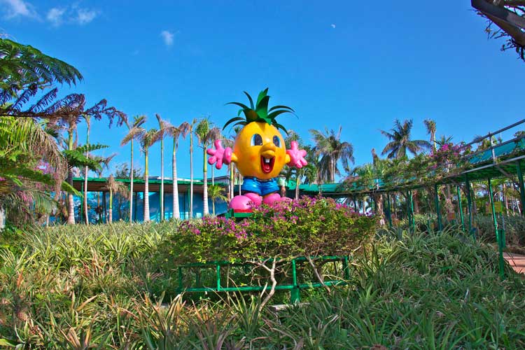 Pineapple wine. Photo by Okinawa Convention＆Visitors Bureau