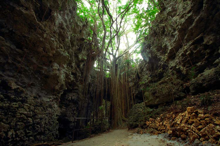 Savor a coffee. Photo by Okinawa Convention＆Visitors Bureau