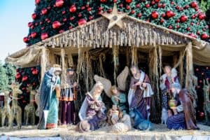 Experiencing Christmas in Bethlehem