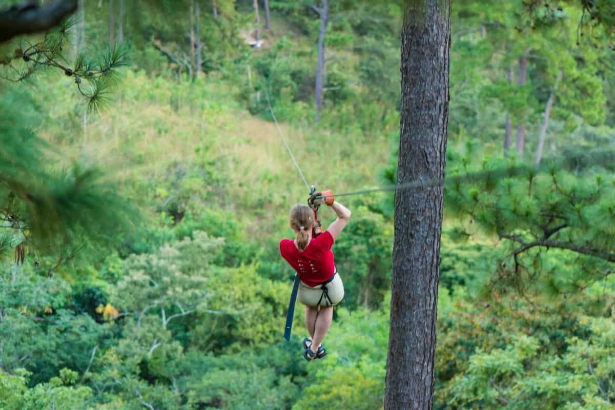 Ziplining through old-growth forest on Camano Island. Photo from Canva