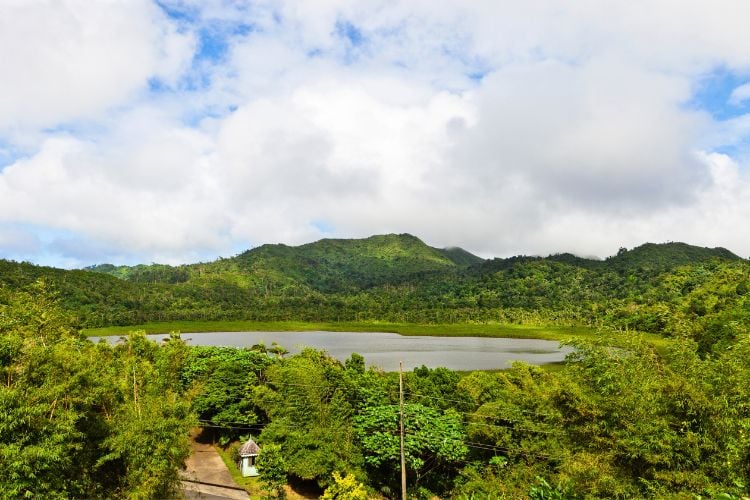 Grenada Grand Etang Lake